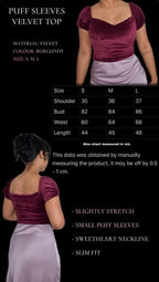 Puff Sleeves Velvet Top