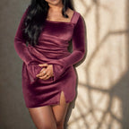 Velvet Glamour Dress