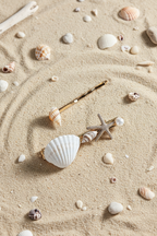 Sea Shell Hairpin Set