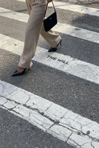 Taupe - Zebra Crossing
